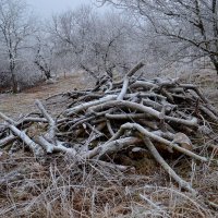 ОКРЕСТНОСТИ C ДРОВАМИ. :: Виктор Осипчук