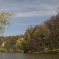 На пруду :: Светлана 