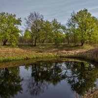 Отражение :: Ирина Приходько