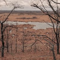 unspoiled land :: александр макаренко