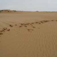 Пески :: Медведев Сергей 