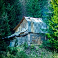 А Вы бы хотели домик в лесу? :: Annet Onachenko