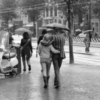 Дождь в Амстердаме. :: Игорь 