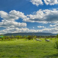 В Тайгане :: Игорь Кузьмин