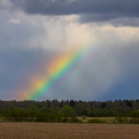 Радуга :: Денис Матвеев