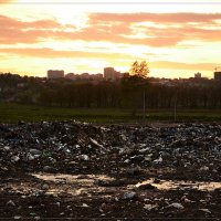 хорошо у нас за городом.. луга,травы,озера чистые.воздух свеж. МЛЯТЬ! (Нижний Новгород) :: Юрий Сидоров