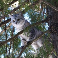 Знакомство с природой :: lenrouz 