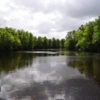 Весенний пейзаж, пасмурно.. :: Антонина Гугаева