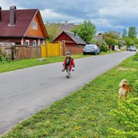 Вдоль  по  улице... :: Валера39 Василевский.