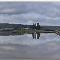 Хмурое утро. :: Любовь Чунарёва