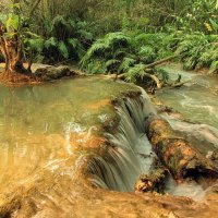 Низина водопада Куангси :: Евгений Печенин