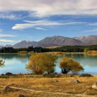 Осень в Новой Зеландии :: Евгений Печенин