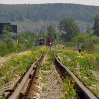 ... :: Дмитрий Старосотников