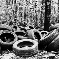 Tyres :: Александр Кузнецов