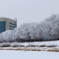 Зима :: Алла Веселова