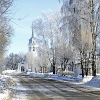 Утро-иней на деревьях :: Алла Шулепина