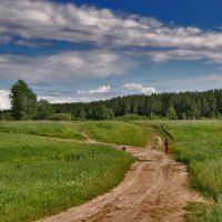 Летняя прогулка :: Наталья Гжельская