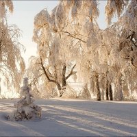 Свет :: Андрей Антонов