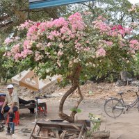 Камбоджа :: Юля Мельникова