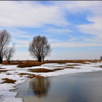 Весна :: Диана Задворкина