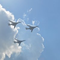 100 лет ВВС :: Надежда Боровая