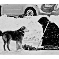 ....сострадание.... :: Олечка Гельд