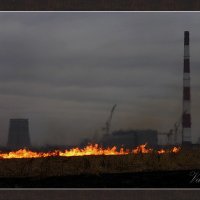 Как выгорало поле... :: Иван Кошечкин