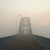 Дорога в туман :: Виктор Позняков