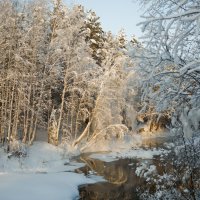 Сибирь :: олег воробьев