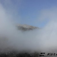 Обволакивающий туман :: KateRina K