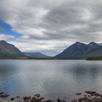 Alaska :: Wattletree -