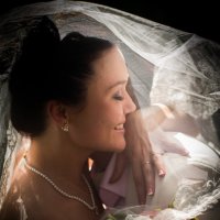 невеста под вуалью :: Валерий Валвиз