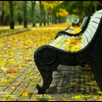 Москва. Осень в парке. :: Юрий Дегтярёв