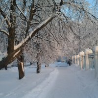Зима в городе :: Елена Бушуева