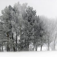 Тепло ли вам девицы ? :: Александр Кузнецов