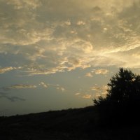 Небо...Закат... :: Евгения С
