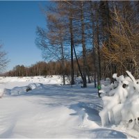 Байкальские фантазии 2 :: Владимир Тюменцев