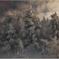 Зимушка :: Владимир Тюменцев