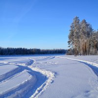 Зимняя дорога :: Сергей Боцвинов