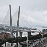 Мост через Бухту Золотой Рог. Владивосток :: Татьяна Пустовалова