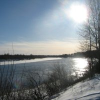 Вечернее солнце. :: Елена Бушуева