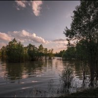 реки разлились... :: Наталья Маркова