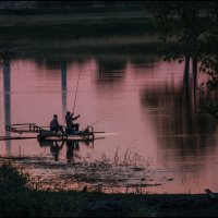 на вечерней зорьке... :: Наталья Маркова