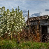 Новое и старое :: Сергей Бережко