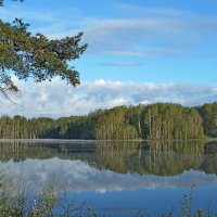 Утреннее :: Юрий Цыплятников