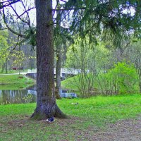 Царское село. Александровский парк :: alemigun 