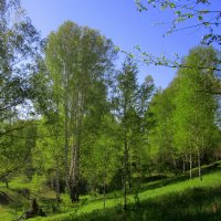 Серия "Пейзажи ". :: Мила Бовкун