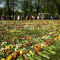 Цветы у памятника. 9 мая :: Gennadiy Karasev