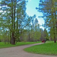 Царское село. Александровский парк. :: alemigun 