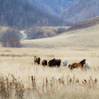 Домой На Булухту :: Алексей (АСкет) Степанов